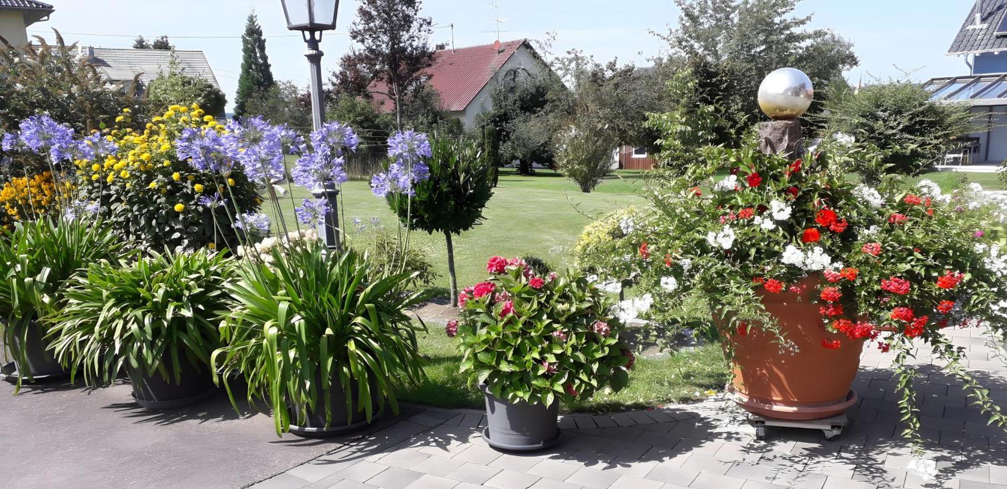 Apartament Feriendomizil Berta Benzingen Winterlingen Zewnętrze zdjęcie